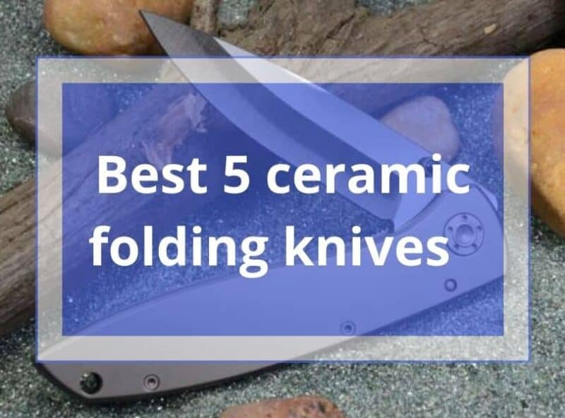 Best Butcher Knife Sets In Buyer S Guide Kitchenzad