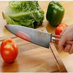 YOUSUNLONG Pro Gyuto 12 inch Chef's knife