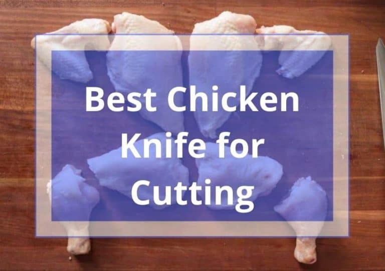10 Best Knife to Cut Chicken 2022 Review