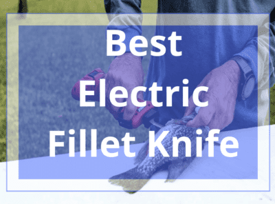 10 Best Electric Fillet Knife in [currentyear] Review