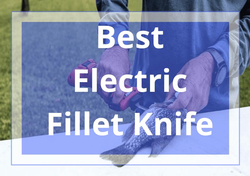Best Electric Fillet Knife