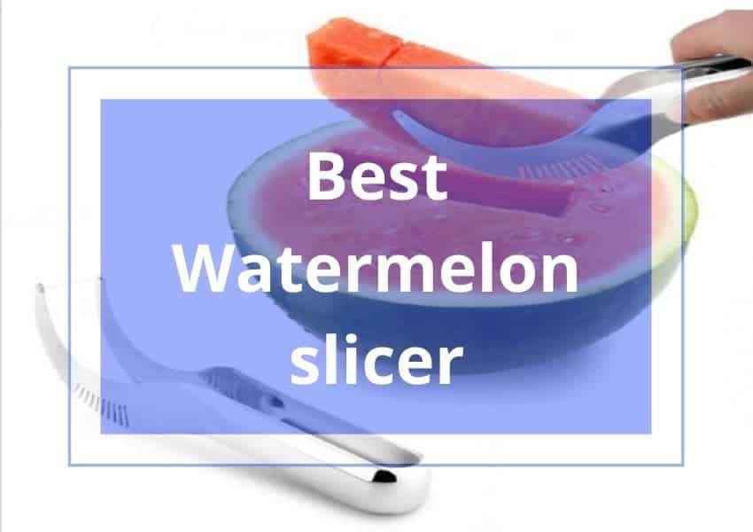 Best watermelon Slicer