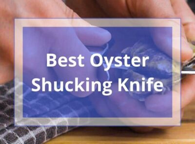10 Best Oyster Knife for Shucking [currentyear] | Shucker Knives Review