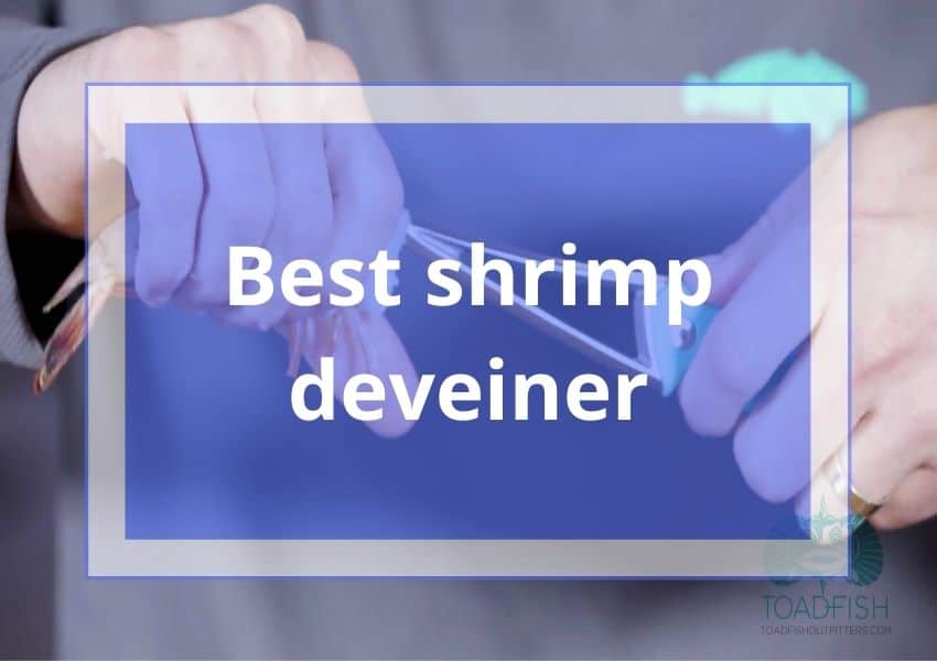 best shrimp deveiner