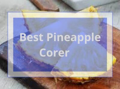 10 Best Pineapple Corer Slicers 2021  Review