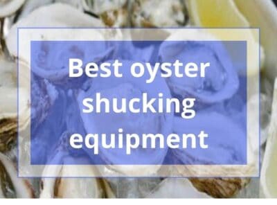 10 Best Oyster Shucker Machine [currentyear] Review & Buyer's Guide