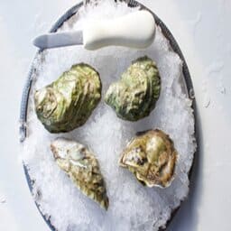 How do the Wellfleet puffer oyster taste like?