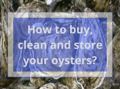 How to Buy, Clean, and Store Oysters? | Easy Step-by-step Guide
