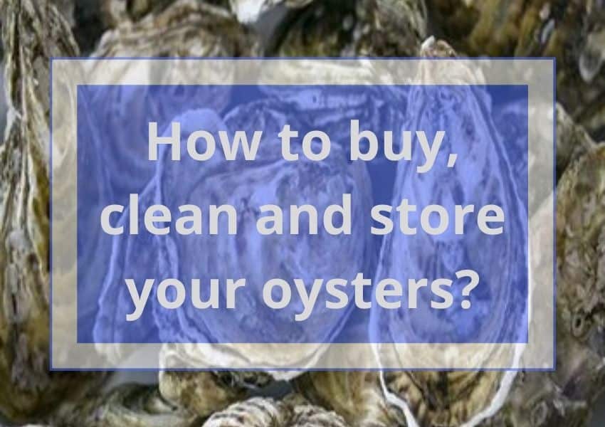 How To Buy, Clean, And Store Oysters? | Easy Step-by-step Guide 2022