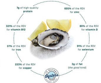 Oysters are high in Vitamins and Minerals