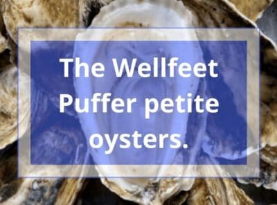The Wellfleet Puffer Petite Oysters