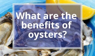 What are the Benefits of Oysters? | 7 Healthy Advantages
