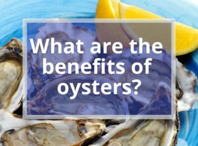 What are the Benefits of Oysters? | 7 Healthy Advantages