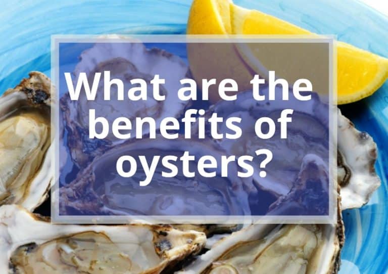What are the benefits of oysters