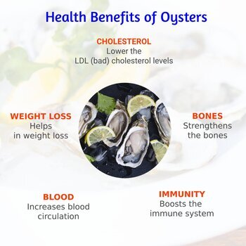 What are the health benefits of oysters