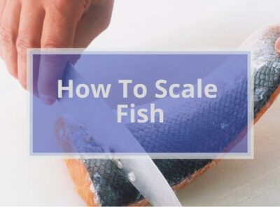 How To Scale Fish Like a Pro? | 7 Easy Steps