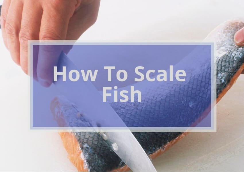 How To Scale Fish