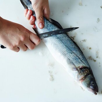 How to scale fish