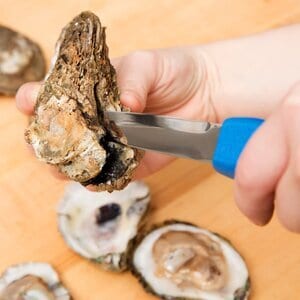 Oyster knife