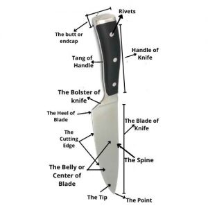 Parts Of A Kitchen Knife 2023 - Kitchenzad