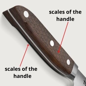 scales of the handle