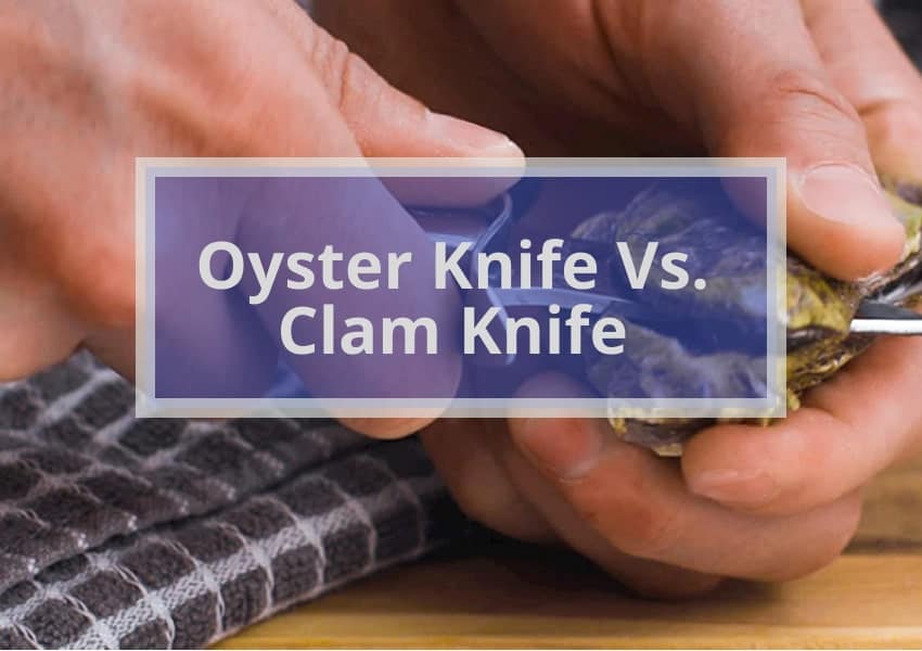 Oyster Knife Vs. Clam Knife