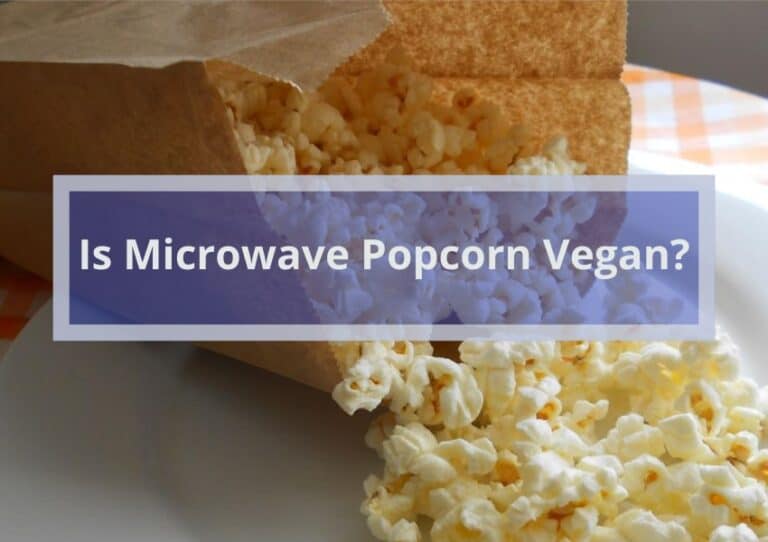 Is Microwave Popcorn Vegan? +10 Vegan Popcorn Brands You Should Try!